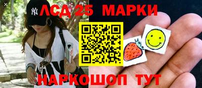 индика Дубна