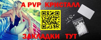 индика Дубна