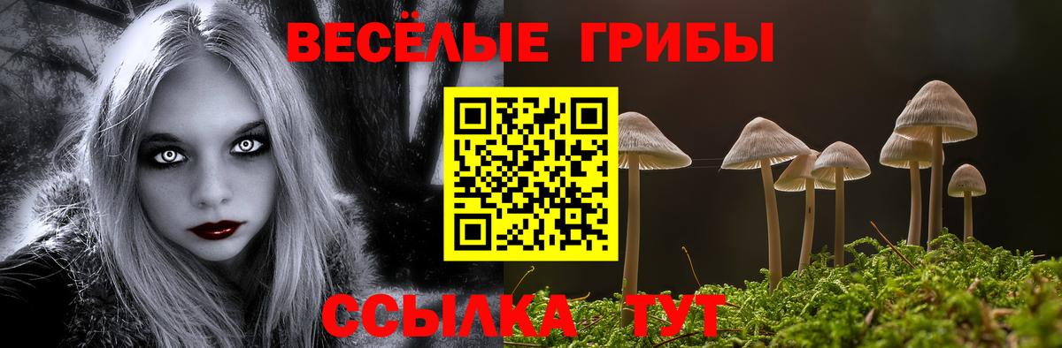 Псилоцибиновые грибы Psilocybe  Вход с VPN  Партизанск  Галлюциногенные грибы MAGIC MUSHROOMS 