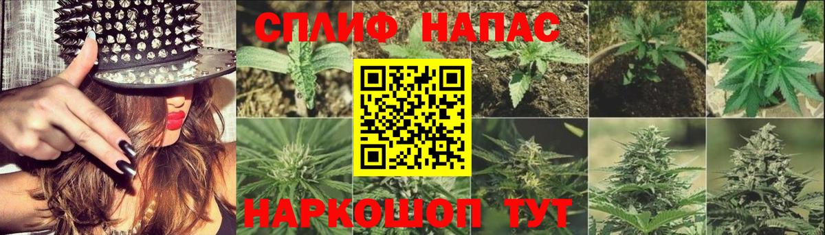 МАРИХУАНА Ganja  Вход с VPN  Шишки марихуана Bruce Banner  Партизанск  Каннабис план  Каннабис конопля 